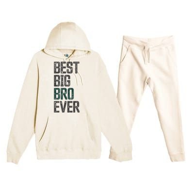 Best Big Brother Bro Ever Funny Big Bro Sibling Big Brother Premium Hooded Sweatsuit Set