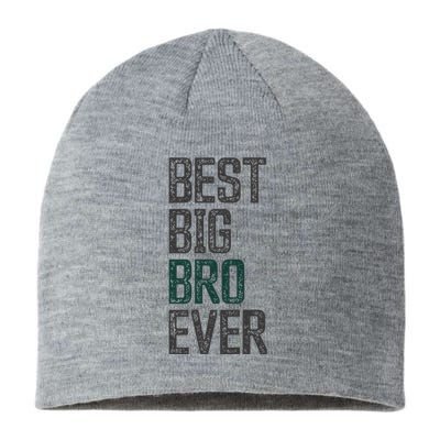 Best Big Brother Bro Ever Funny Big Bro Sibling Big Brother Sustainable Beanie