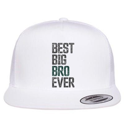 Best Big Brother Bro Ever Funny Big Bro Sibling Big Brother Flat Bill Trucker Hat