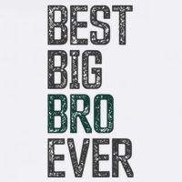 Best Big Brother Bro Ever Funny Big Bro Sibling Big Brother Women's V-Neck T-Shirt