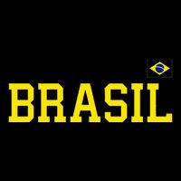 Brazil Brasil Brazilian Flag Green 16 in Basic Backpack