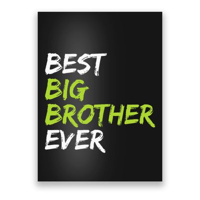 Best Big Brother Ever Poster