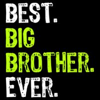 Best Big Brother Ever Nager Older Sibling Gift Flat Bill Trucker Hat
