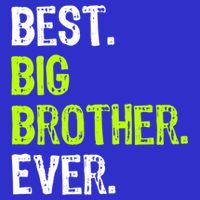Best Big Brother Ever Nager Older Sibling Gift 16 in Basic Backpack