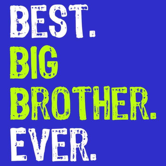 Best Big Brother Ever Nager Older Sibling Gift 16 in Basic Backpack