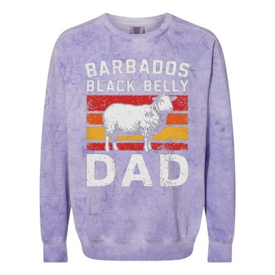 Barbados BlackS Belly Sheeps Vintage Colorblast Crewneck Sweatshirt