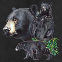 Black Bears Cool Comfort Performance Bucket Hat