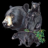 Black Bears City Backpack
