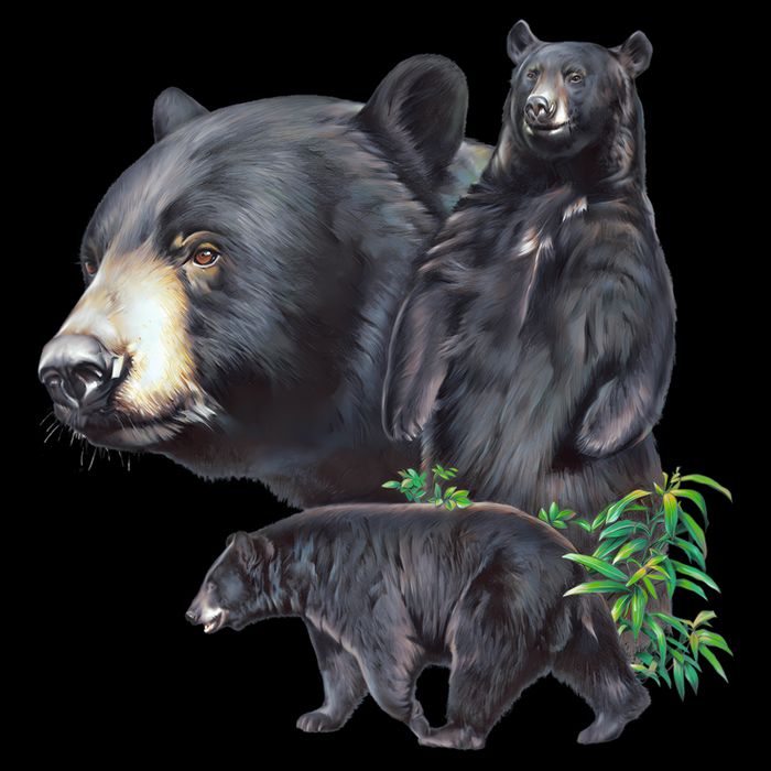 Black Bears City Backpack