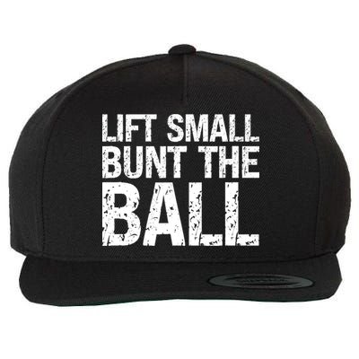 Baseball Batter Batting Strategy Lift Small Bunt The Ball Wool Snapback Cap