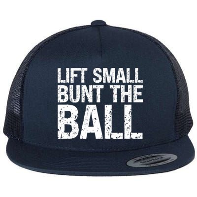 Baseball Batter Batting Strategy Lift Small Bunt The Ball Flat Bill Trucker Hat
