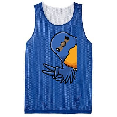 Bluebird Bird Mesh Reversible Basketball Jersey Tank