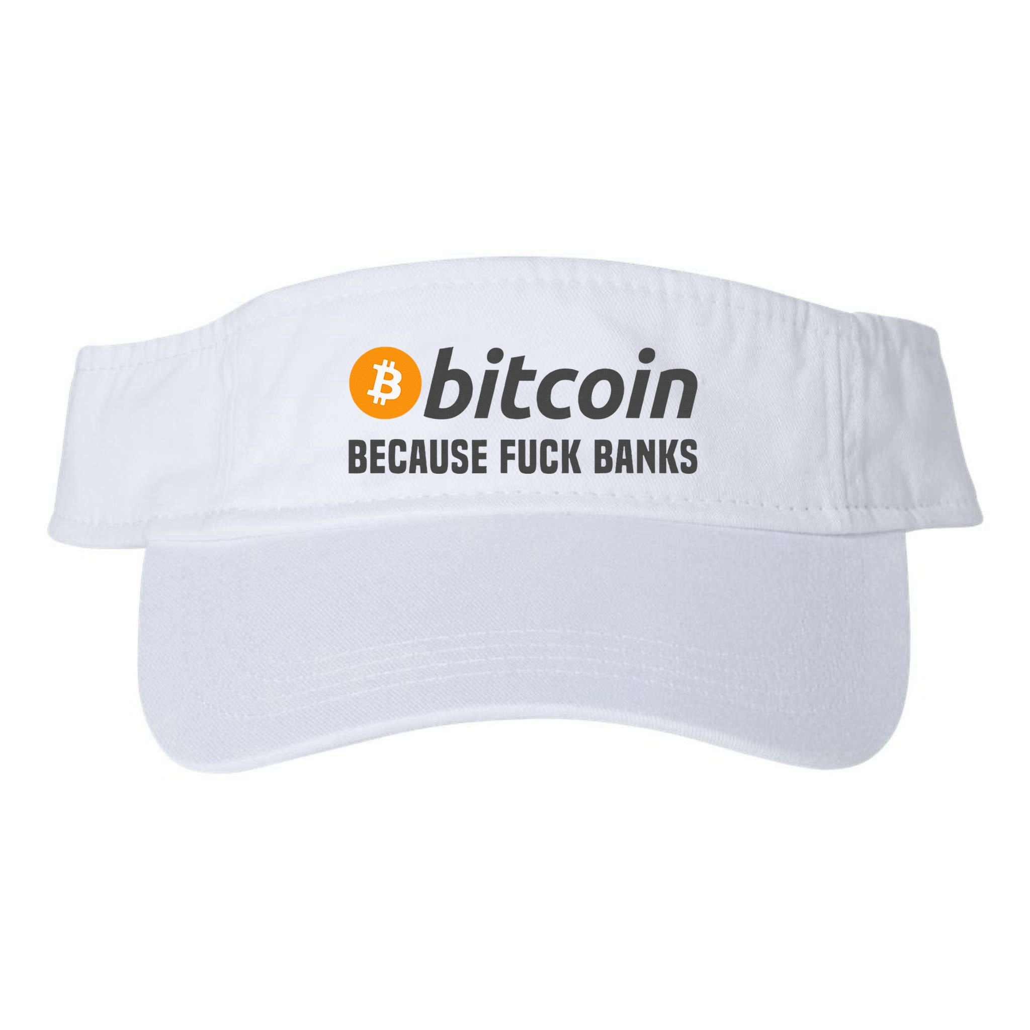 Bitcoin Bitcoin Because Fuck Banks Visor
