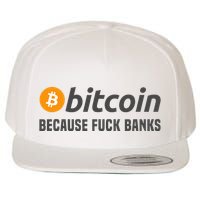 Bitcoin Bitcoin Because Fuck Banks Wool Snapback Cap