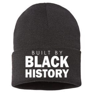 Built By Black History African American Pride Sustainable Knit Beanie