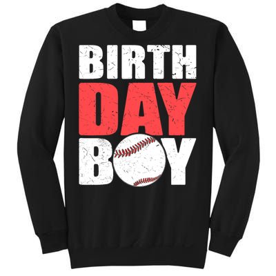 Birthday Boy Baseball Batter Catcher Pitcher Baseball Theme Sweatshirt