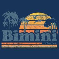 Bimini Bahamas Beach Summer Vacation Sun Vintage 70S Retro Hoodie