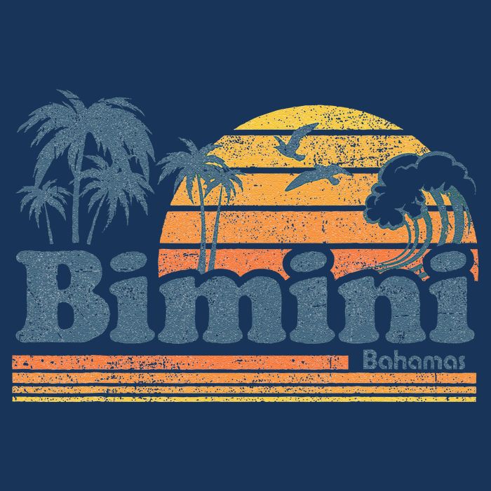 Bimini Bahamas Beach Summer Vacation Sun Vintage 70S Retro Hoodie