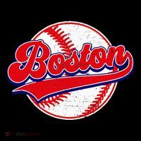 Boston Baseball Cityscape Distressed Women Womens T-Shirt