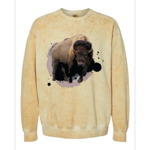 Bison Buffalo Cattle Design Illustration Gift Colorblast Crewneck Sweatshirt