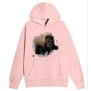 Bison Buffalo Cattle Design Illustration Gift Urban Pullover Hoodie