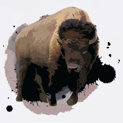 Bison Buffalo Cattle Design Illustration Gift T-Shirt