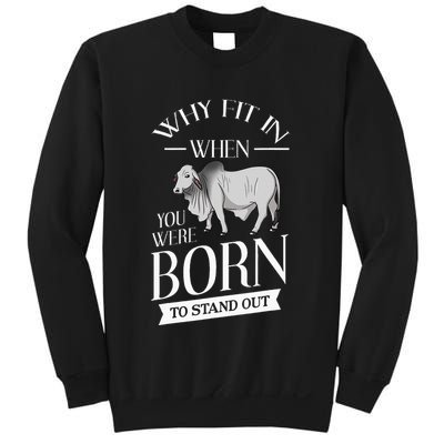 Brahman Bull Cattle Mini Zebu Cow Sweatshirt