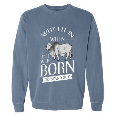 Brahman Bull Cattle Mini Zebu Cow Garment-Dyed Sweatshirt