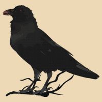 Beautiful Black Crow Raven Bird Silhouette Zip Tote Bag