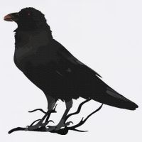 Beautiful Black Crow Raven Bird Silhouette 11oz C Handle Ceramic Mug