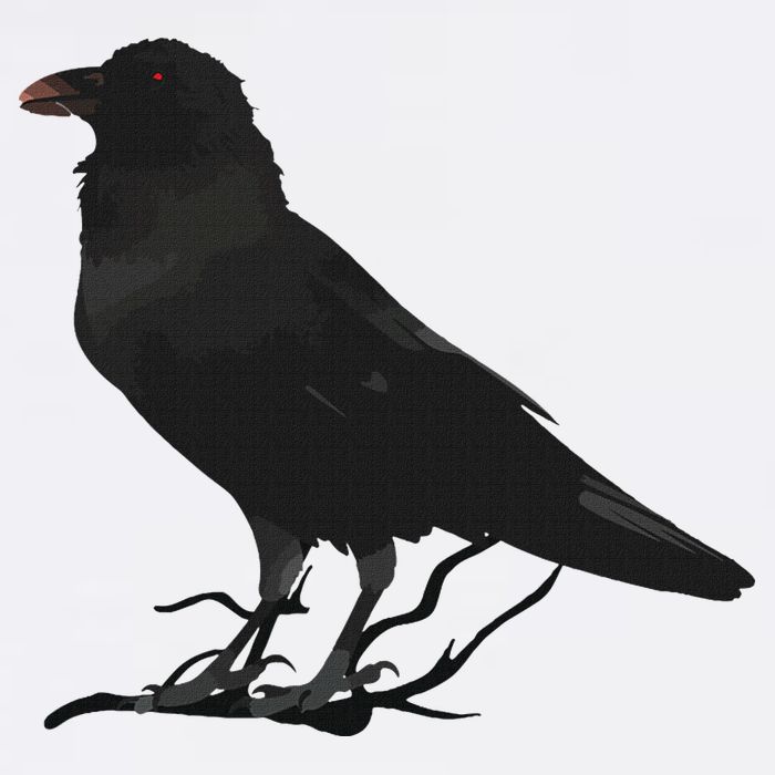 Beautiful Black Crow Raven Bird Silhouette 11oz C Handle Ceramic Mug