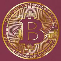 Bitcoin Btc Coin Crypto Trader Bitcoin Future Freedom 16oz Travel Tumbler