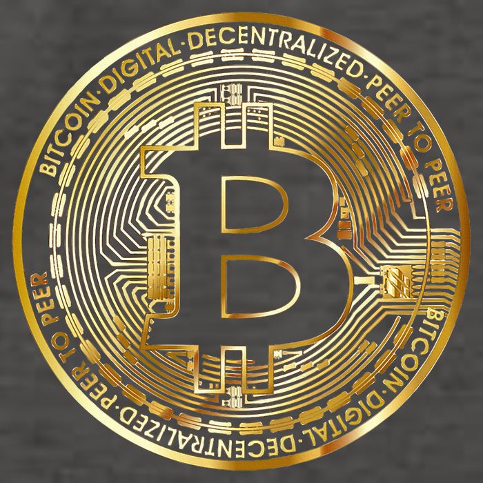 Bitcoin Btc Coin Crypto Trader Bitcoin Future Freedom Vector Backpack