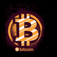 Bitcoin BTC Crypto Cryptocurrency Trader 16 in Basic Backpack
