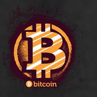 Bitcoin BTC Crypto Cryptocurrency Trader Trucker Hat