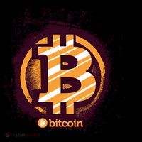 Bitcoin BTC Crypto Cryptocurrency Trader Cropped Pullover Crew