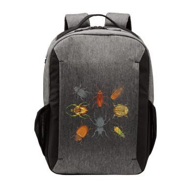 Beetle Bugs Collector Entomologist Biology Insect Bug Vector Backpack