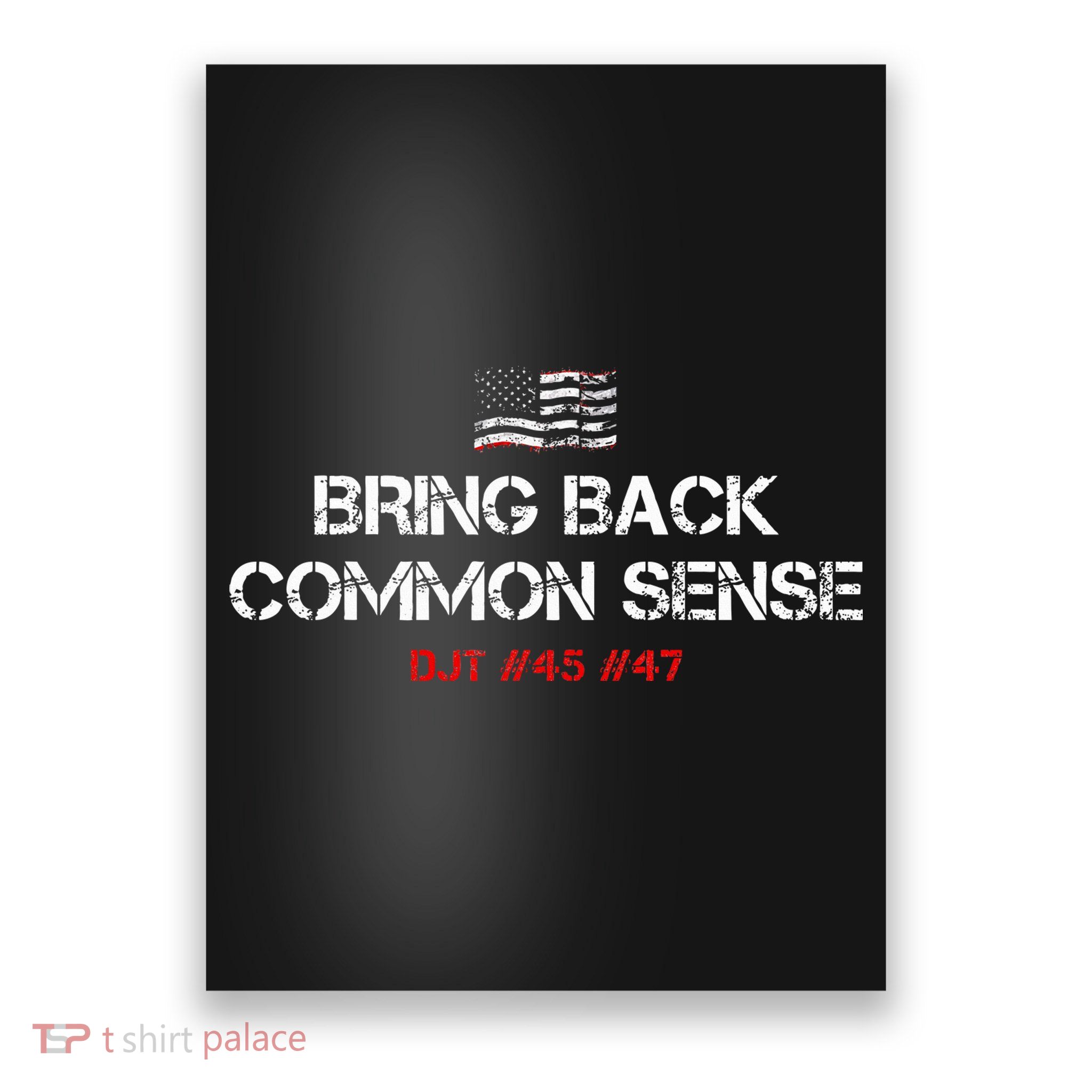 Bring Back Common Sense Trump 45 47 Poster