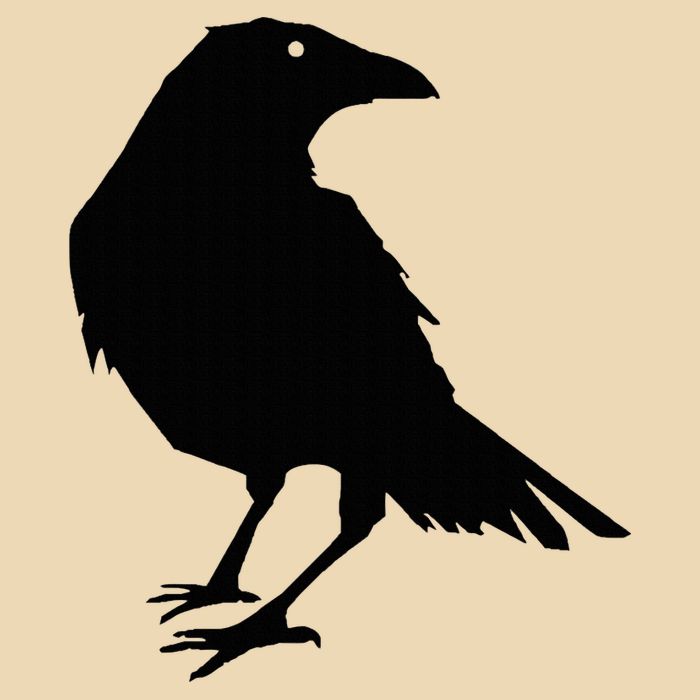Beautiful Black Crow Raven Bird Silhouette Sweater Drawstring Bag