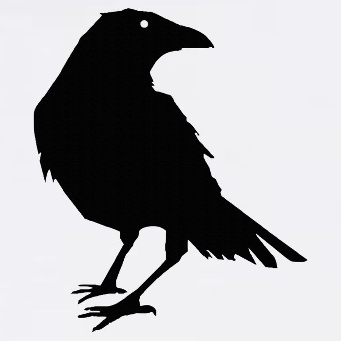 Beautiful Black Crow Raven Bird Silhouette Sweater Bucket Hat