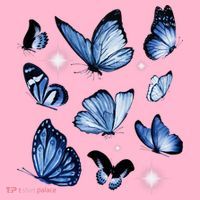 Blue Butterflies Cute Gift Womens T-Shirt