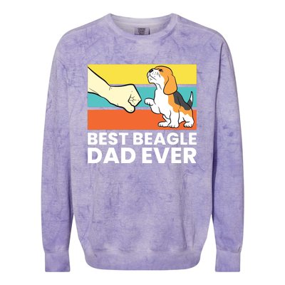 Best Beagle Dad Ever Funny Beagle Dog Dad Colorblast Crewneck Sweatshirt