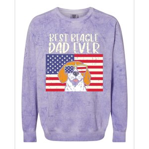 Best Beagle Dad Ever Flag Patriotic Dog Lover Owner Men Gift Colorblast Crewneck Sweatshirt