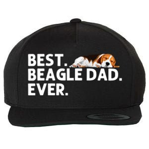 Best Beagle Dad Art For Father Beagle Dog Beagle Lover Wool Snapback Cap