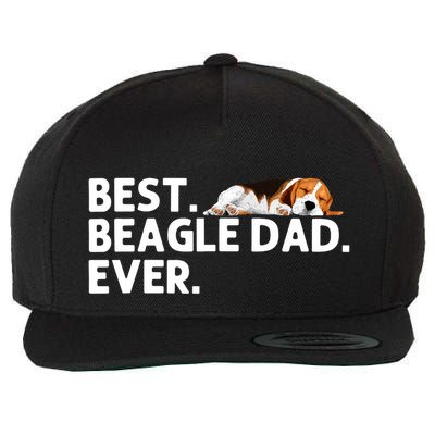Best Beagle Dad Art For Father Beagle Dog Beagle Lover Wool Snapback Cap