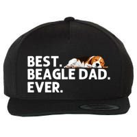 Best Beagle Dad Art For Father Beagle Dog Beagle Lover Wool Snapback Cap