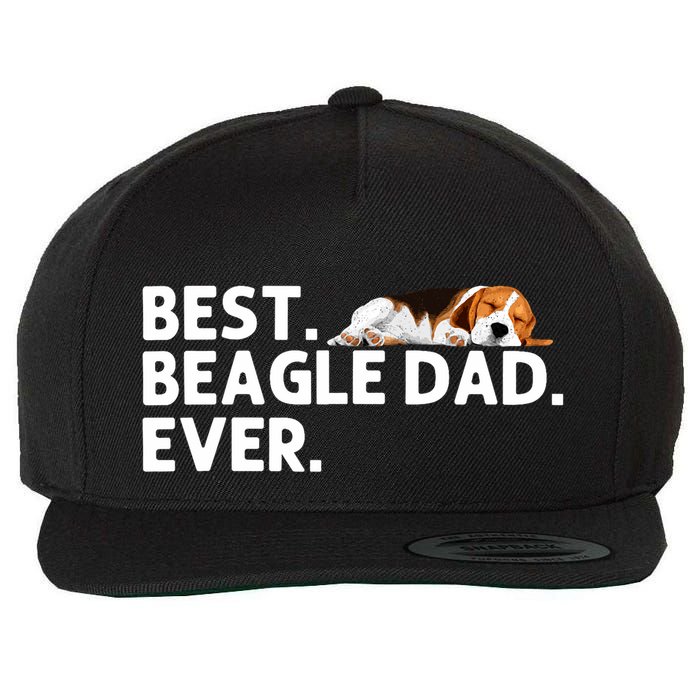 Best Beagle Dad Art For Father Beagle Dog Beagle Lover Wool Snapback Cap