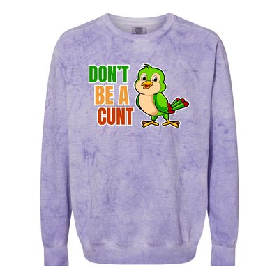 Big Bird Don’t Be A Cunt Colorblast Crewneck Sweatshirt