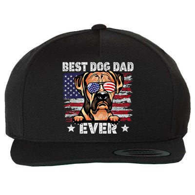 Best Boxer Dad Ever American Flag Fathers Day Gift Wool Snapback Cap