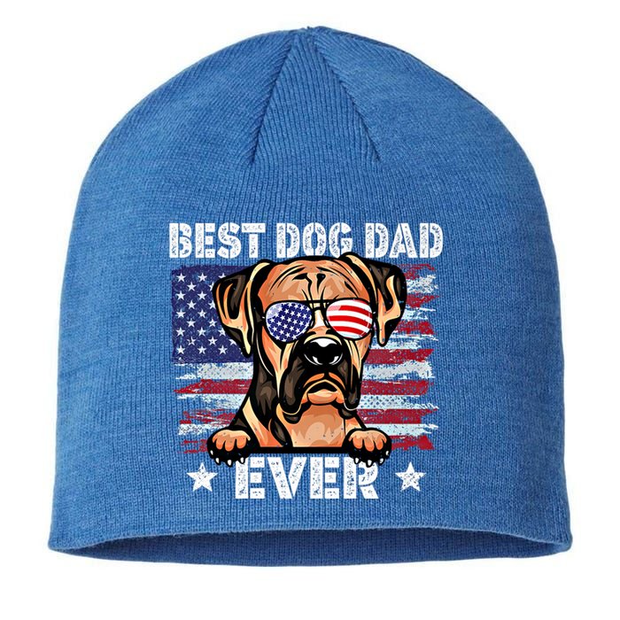 Best Boxer Dad Ever American Flag Fathers Day Gift Sustainable Beanie